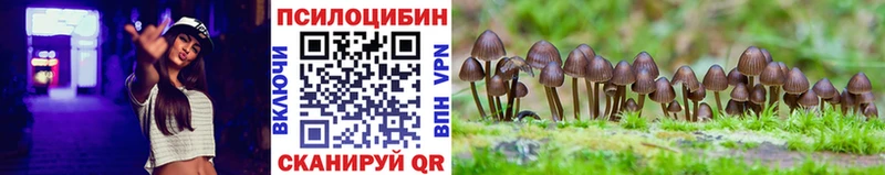 магазин продажи   Звенигород  Псилоцибиновые грибы MAGIC MUSHROOMS 