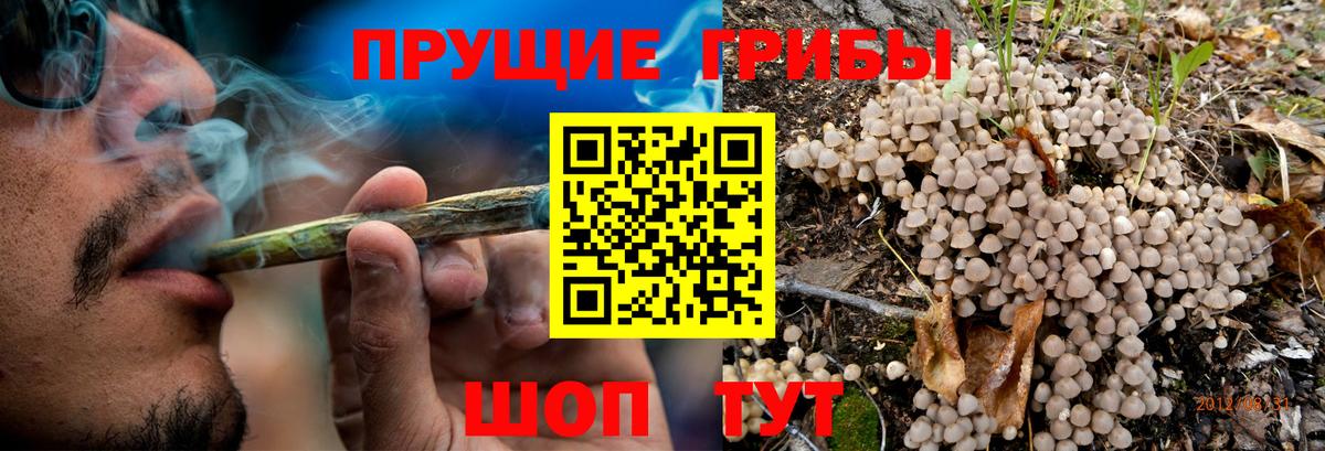 Псилоцибиновые грибы прущие грибы Звенигород