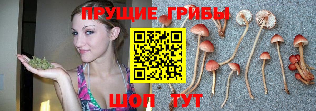 Псилоцибиновые грибы мицелий  Вход с VPN  Звенигород 