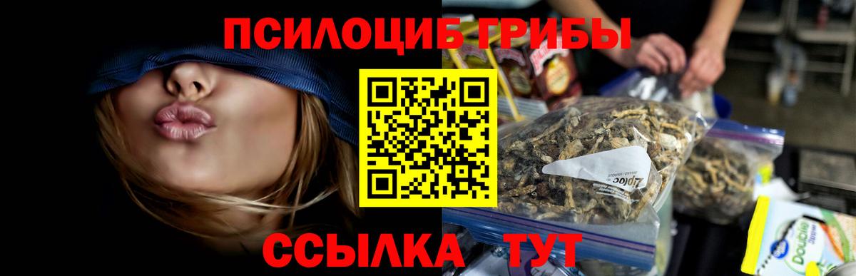 Псилоцибиновые грибы MAGIC MUSHROOMS Звенигород