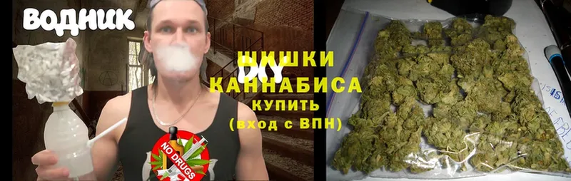 Бошки марихуана OG Kush  MEGA зеркало  Звенигород  купить  